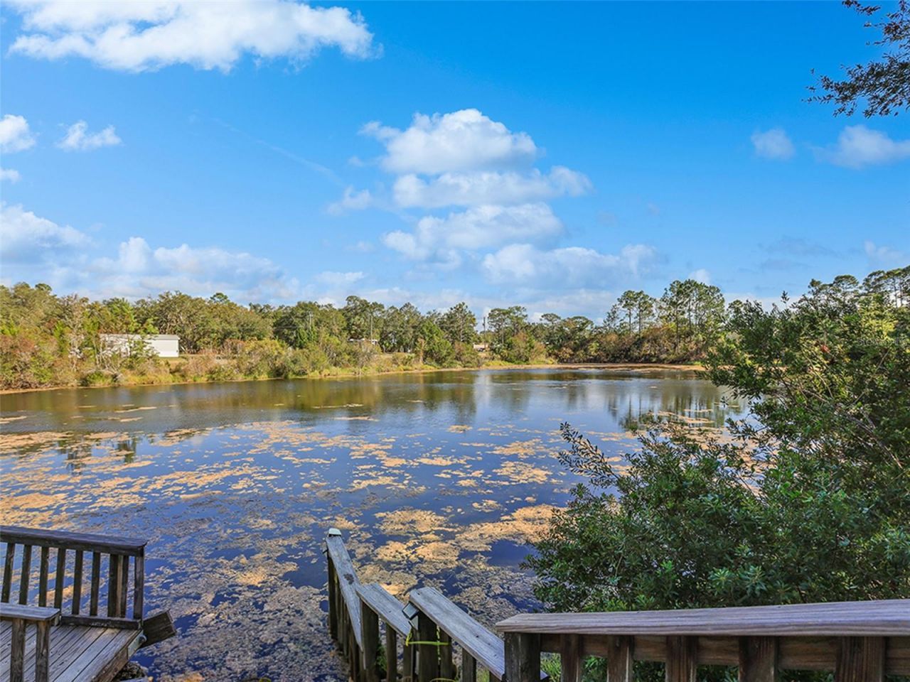 112 8th Street Ne, Steinhatchee, FL 32359 Photo