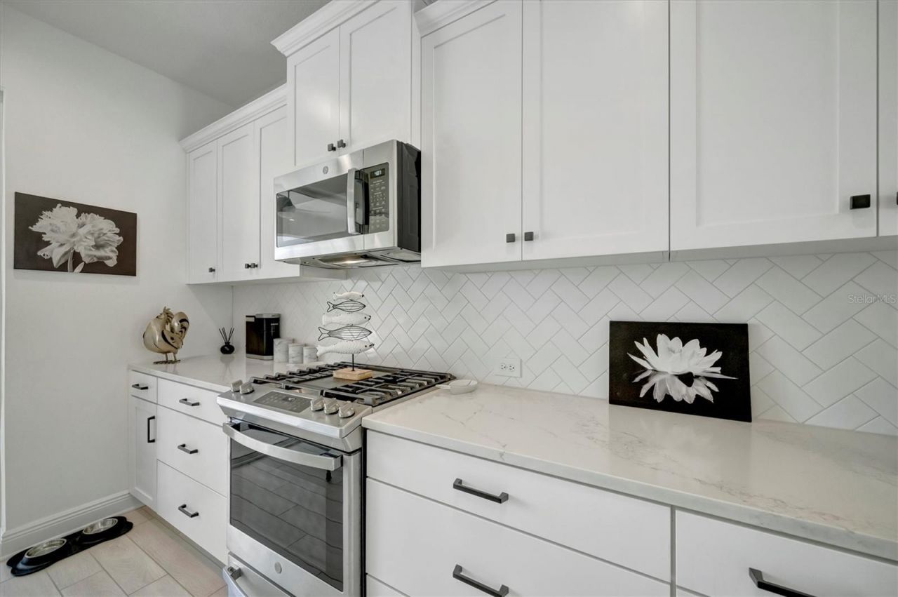 10511 Crooked Creek Court, Parrish, FL 34219 Photo