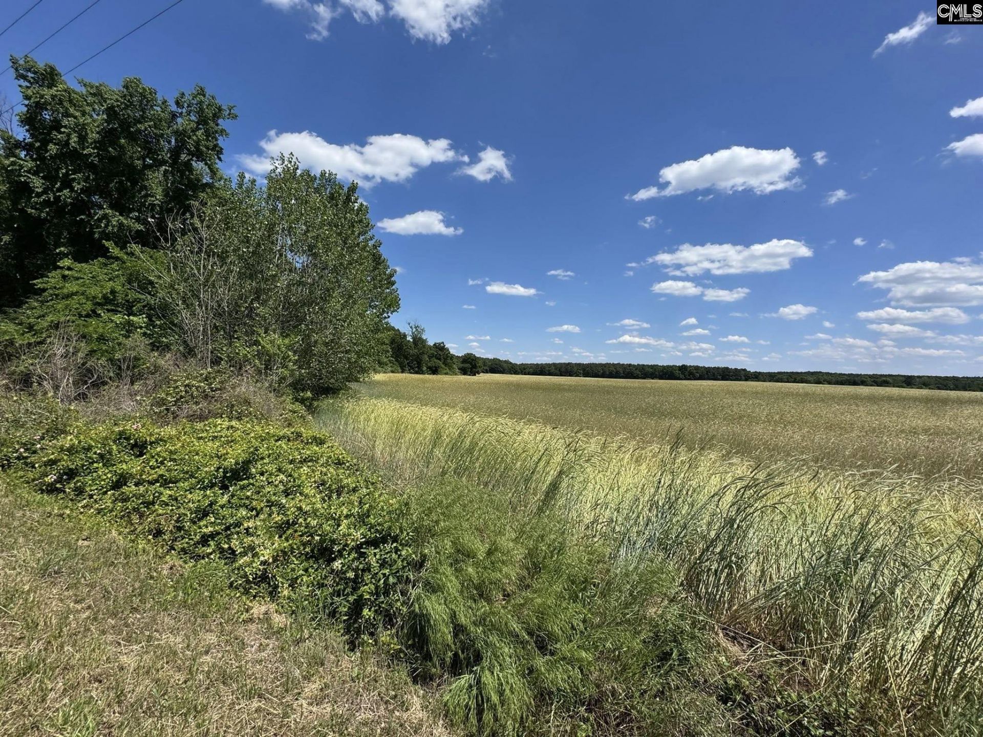Strait Road Photo 10