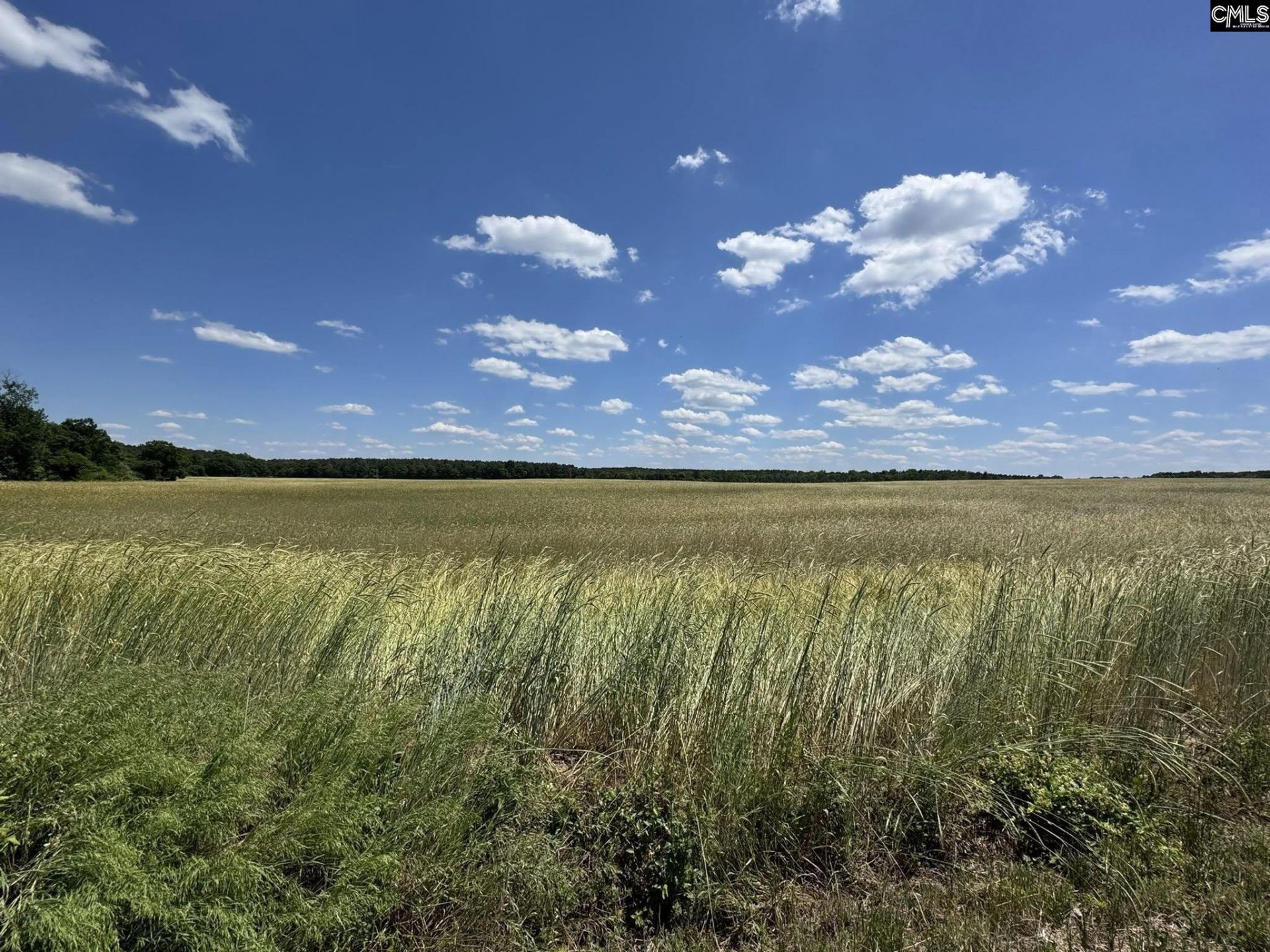 Strait Road Photo 17