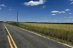 Strait Road photo 4