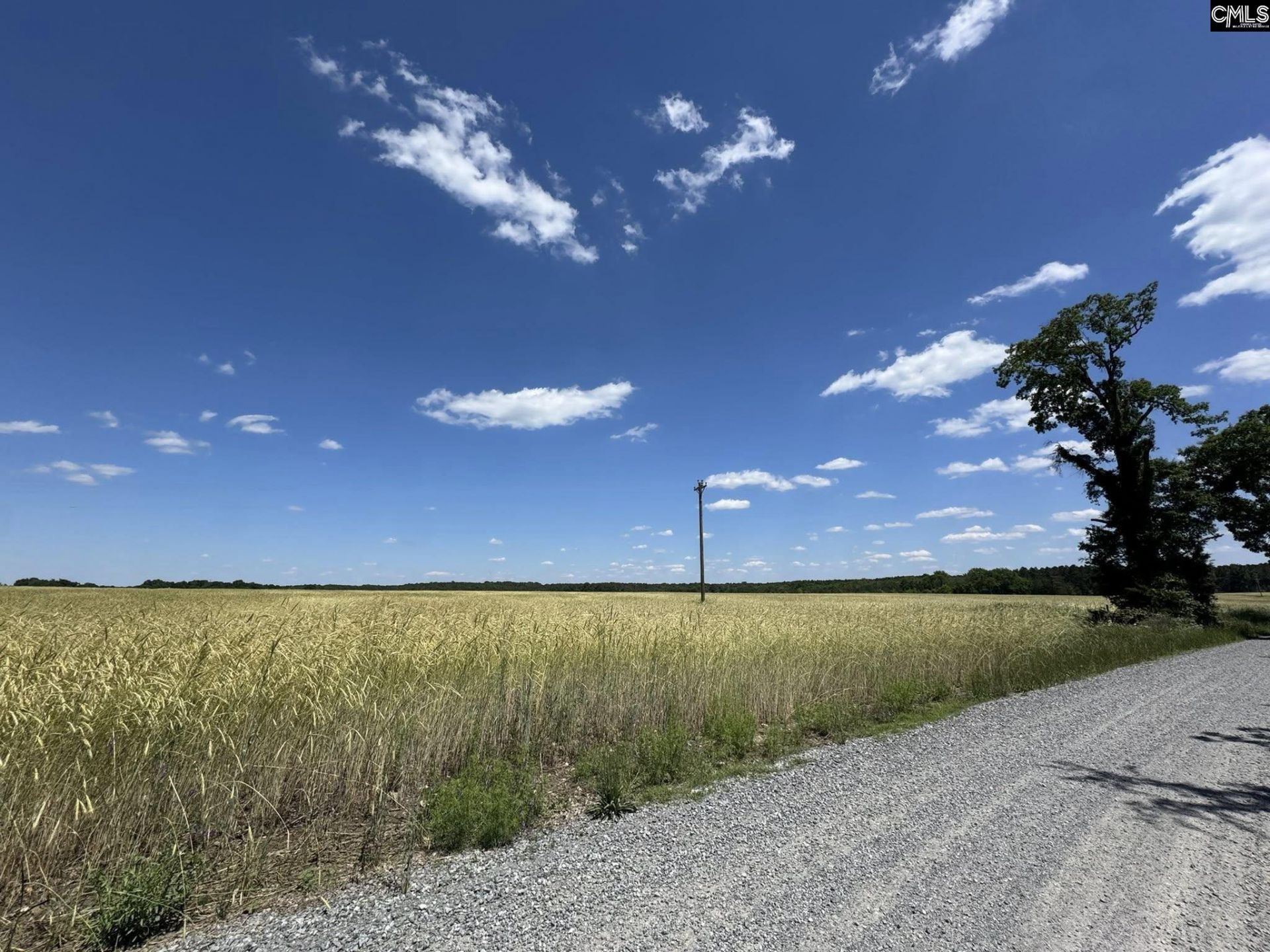 Strait Road Photo 24
