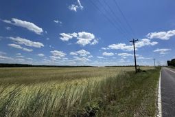 Strait Road photo 4
