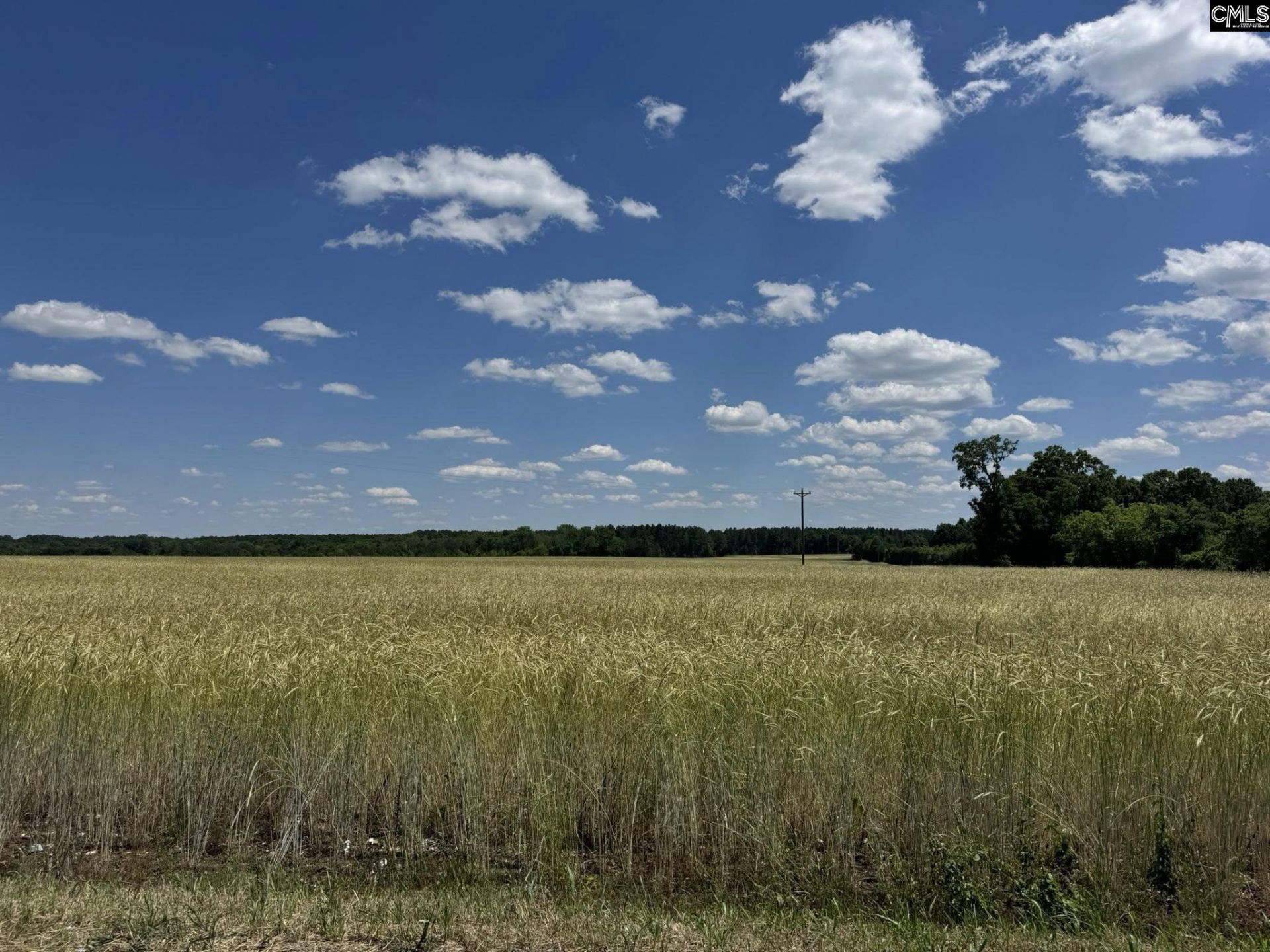 Strait Road Photo 7