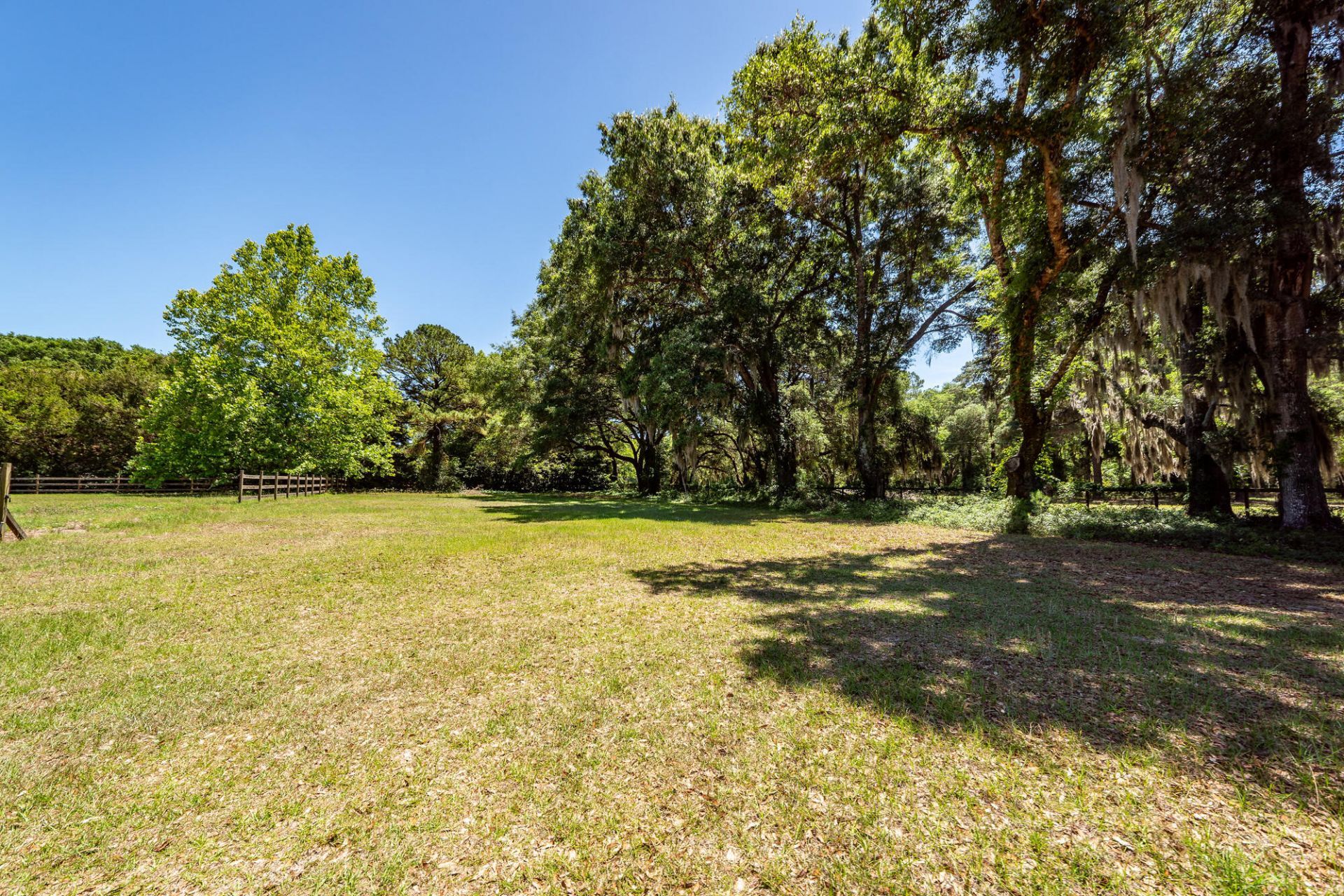6619 Bears Bluff Road Photo 41