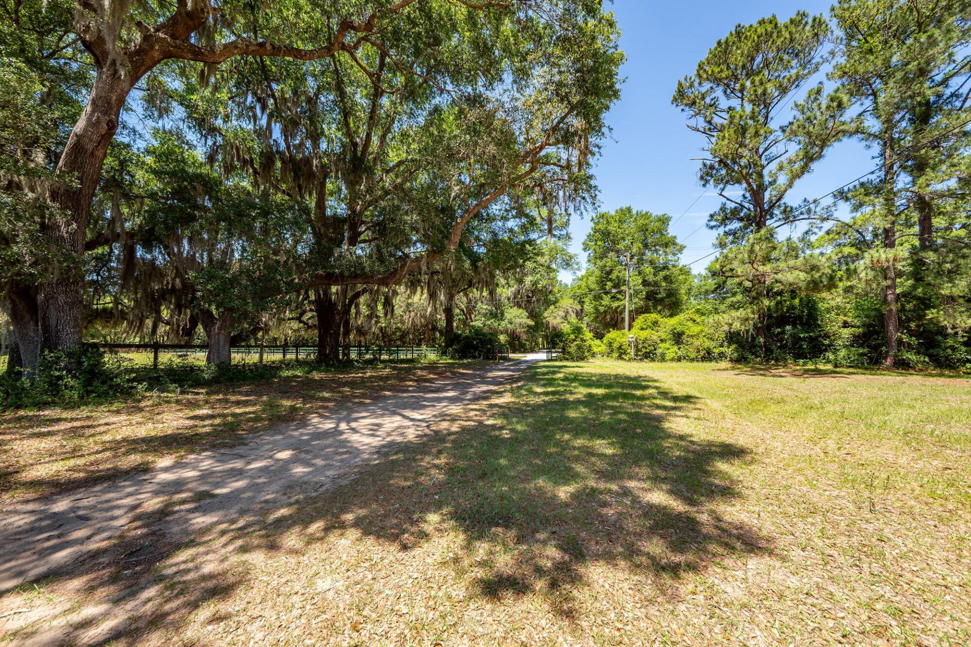 6619 Bears Bluff Road Photo 43