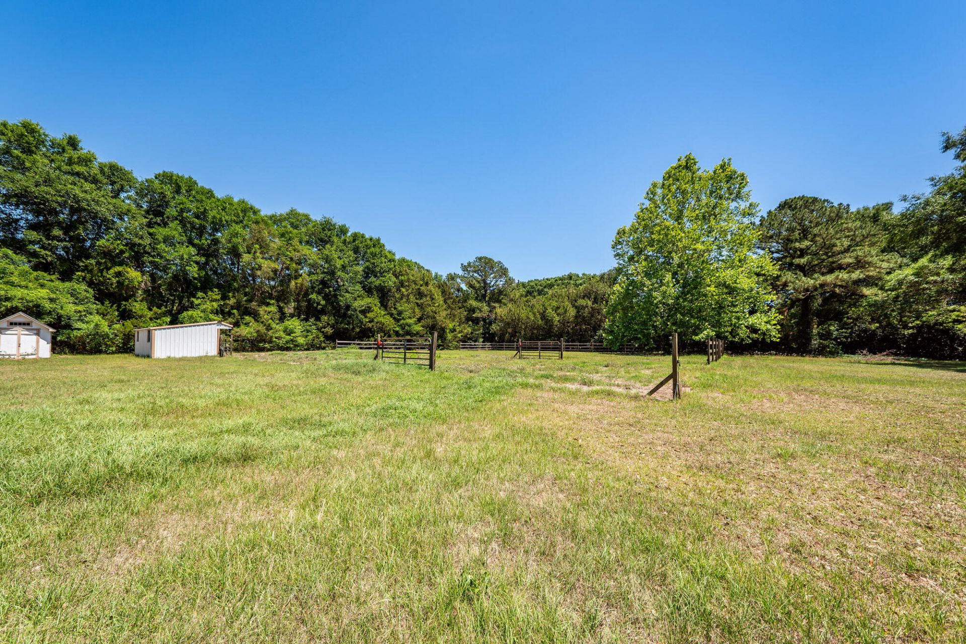 6619 Bears Bluff Road Photo 44