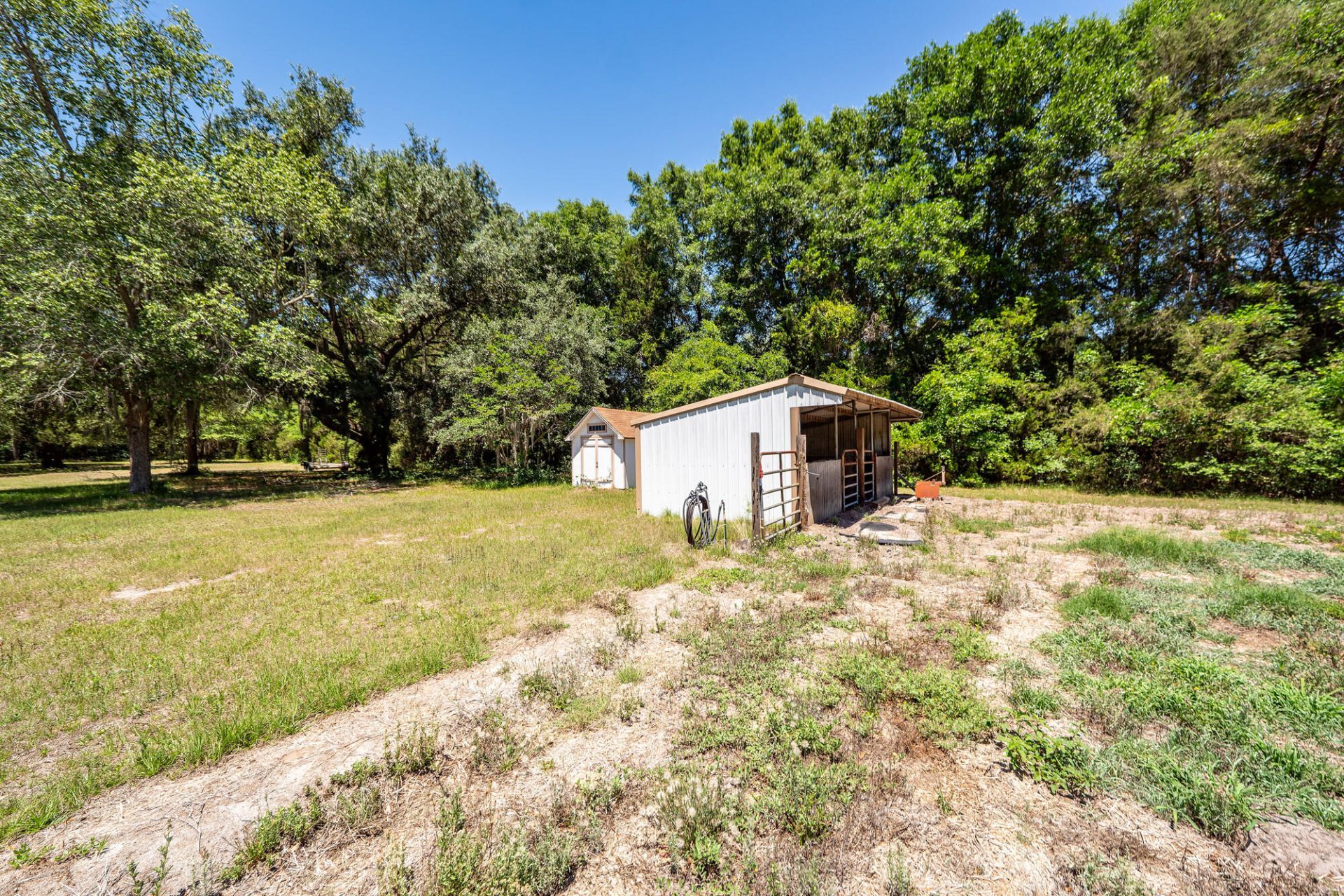 6619 Bears Bluff Road Photo 47