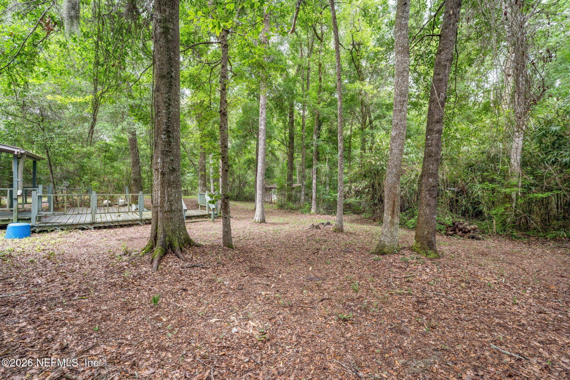 5991 Francine Drive, Maxville, FL 32234 Photo