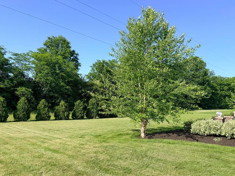 6409 Brookview Manor Drive, Galena, OH 43021 Photo 4