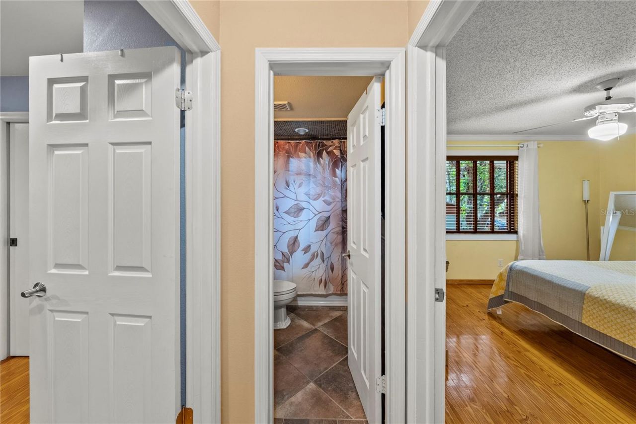 2503 High Oaks Lane, Lutz, FL 33559 Photo