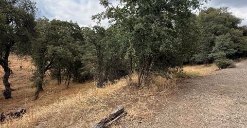 10357 Tulipan Way, Coulterville, CA 95311 Photo