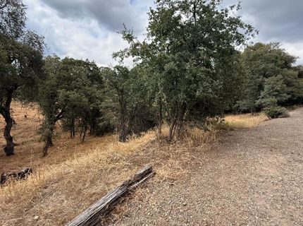 10357 Tulipan Way, Coulterville, CA 95311 Photo