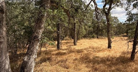 10357 Tulipan Way, Coulterville, CA 95311 Photo
