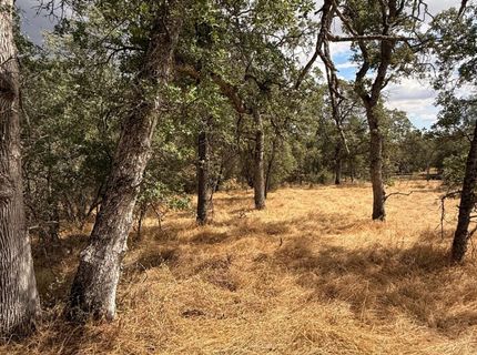 10357 Tulipan Way, Coulterville, CA 95311 Photo