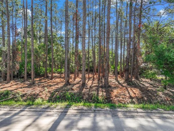 2679 FOREST PARK STREET , BUNNELL, FL 32110