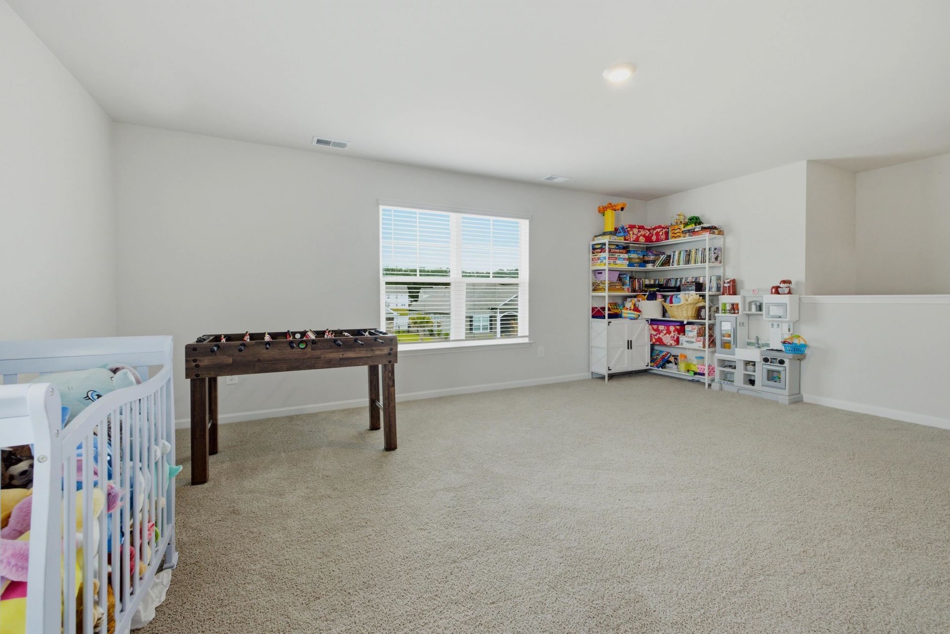 727 Mustang Ranch Dr. Photo 31