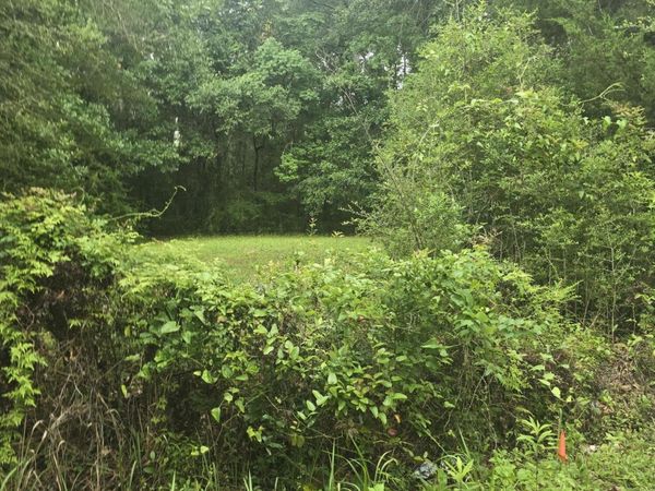 Elder Ferry Road, Moss Point, MS 39563