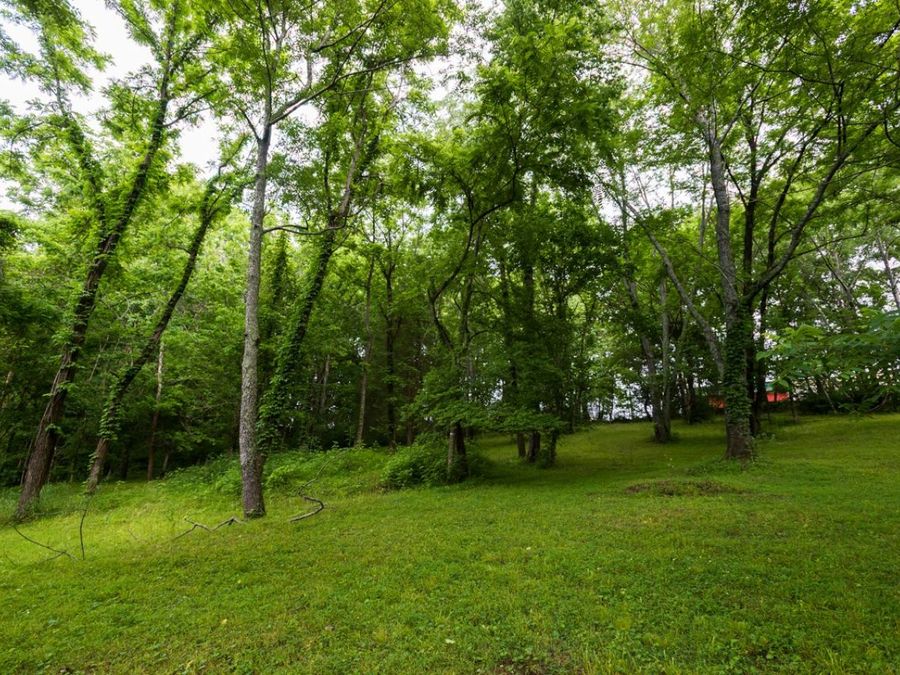 Property Image 51