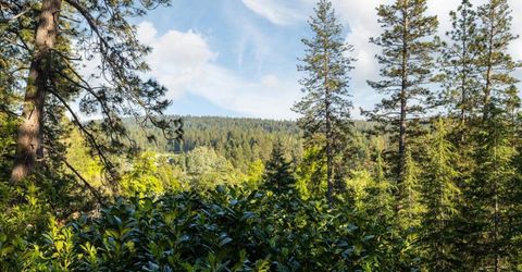 213 Hill St, Grass Valley, CA 95945 Photo