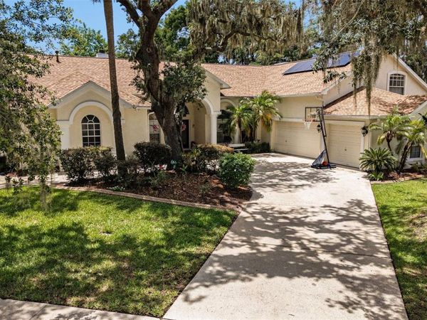 2528 CENTENNIAL FALCON DR , VALRICO, FL 33596