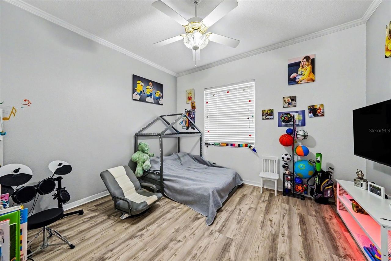 2528 Centennial Falcon Dr, Valrico, FL 33596 Photo