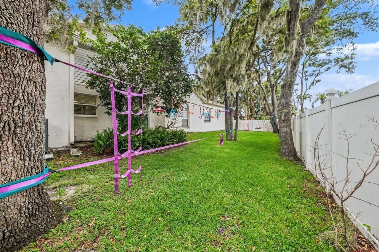 2528 Centennial Falcon Dr, Valrico, FL 33596 Photo