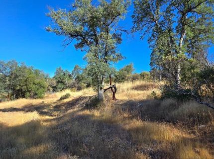 13401 S Ponderosa, Grass Valley, CA 95949 Photo