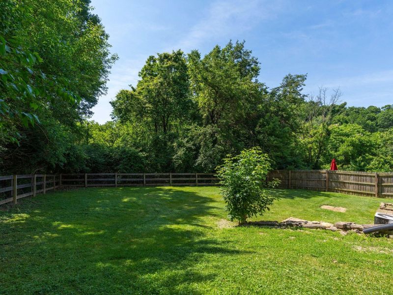 358 Riddle Place, Newport, KY 41071 Photo 16