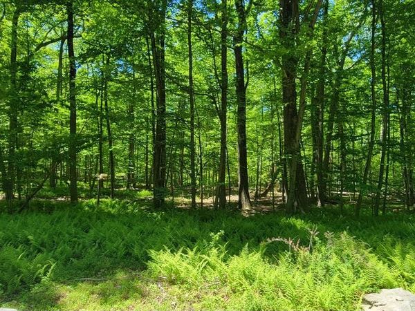 MINK FARM ROAD, THURMONT, MD 21788