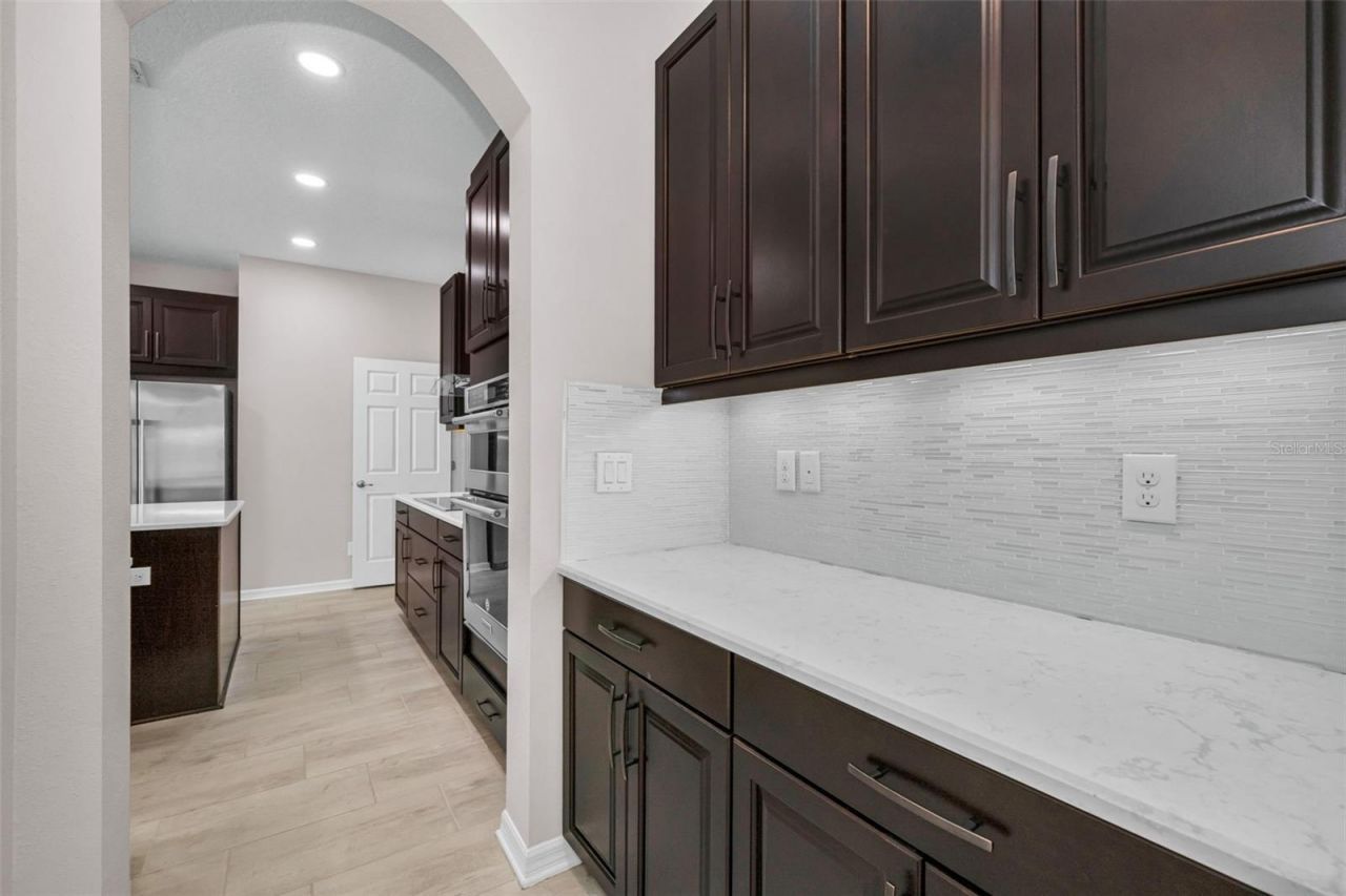10520 Alcon Blue Drive, Riverview, FL 33578 Photo