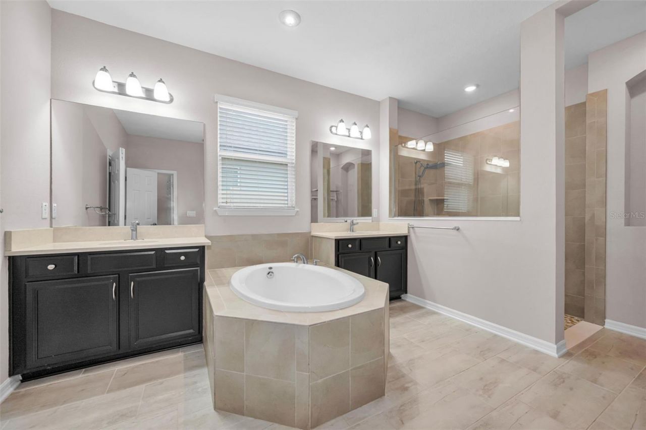 10520 Alcon Blue Drive, Riverview, FL 33578 Photo