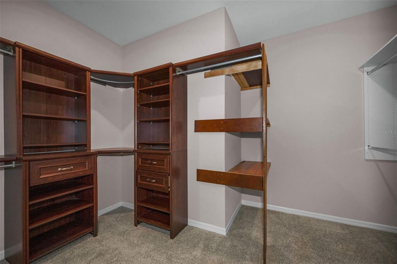 10520 Alcon Blue Drive, Riverview, FL 33578 Photo