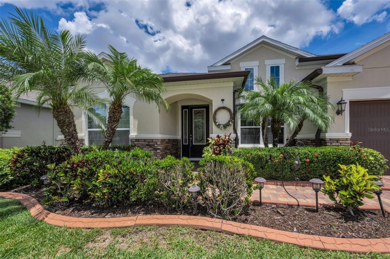 10520 Alcon Blue Drive, Riverview, FL 33578 Photo