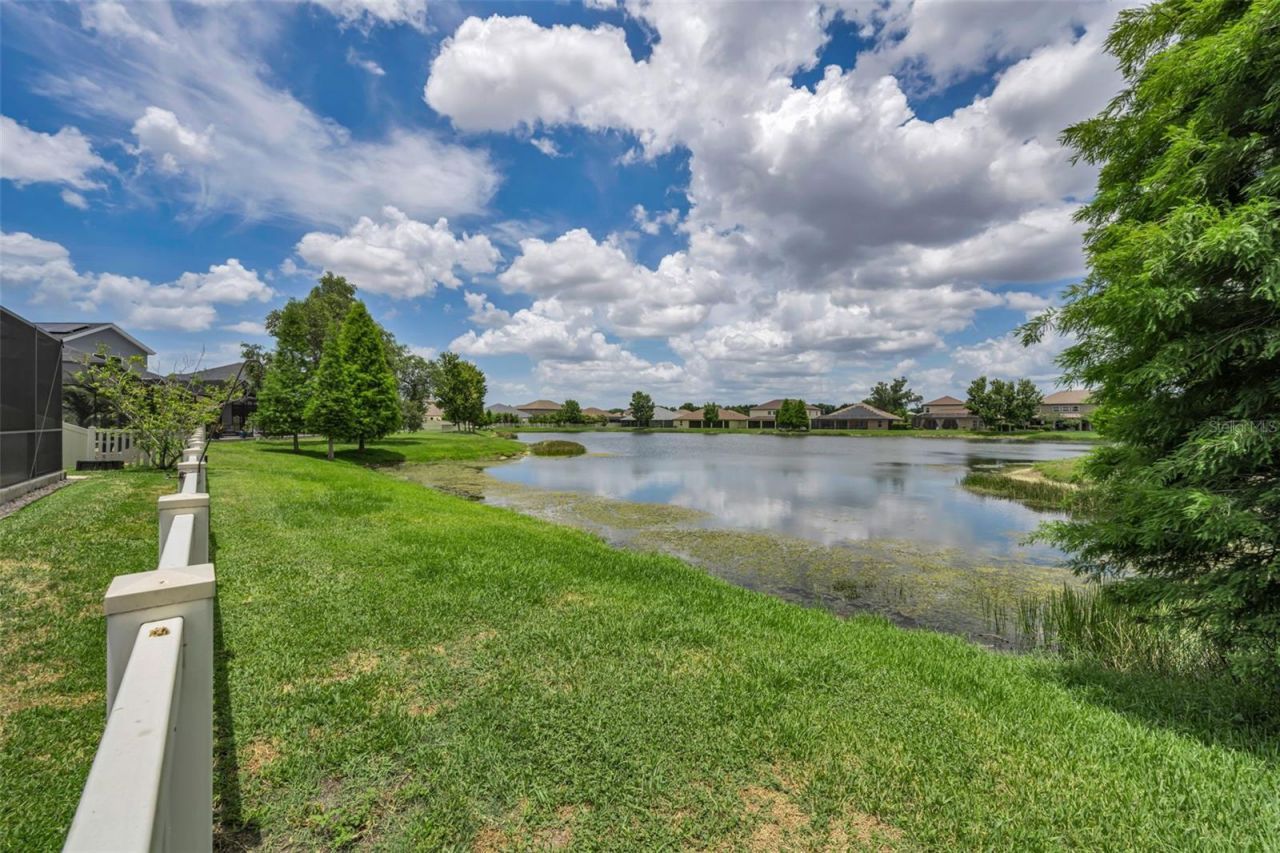 10520 Alcon Blue Drive, Riverview, FL 33578 Photo