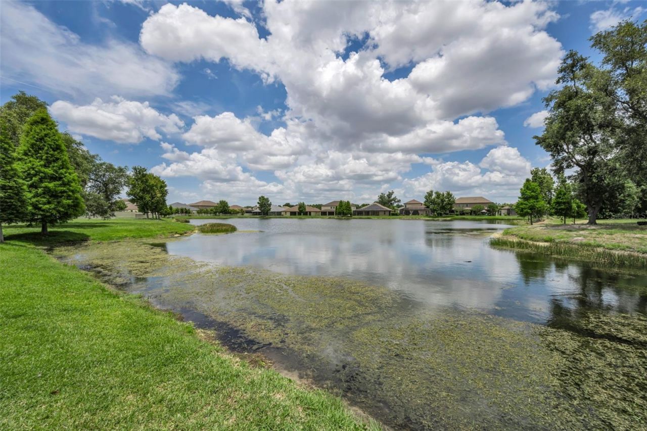 10520 Alcon Blue Drive, Riverview, FL 33578 Photo