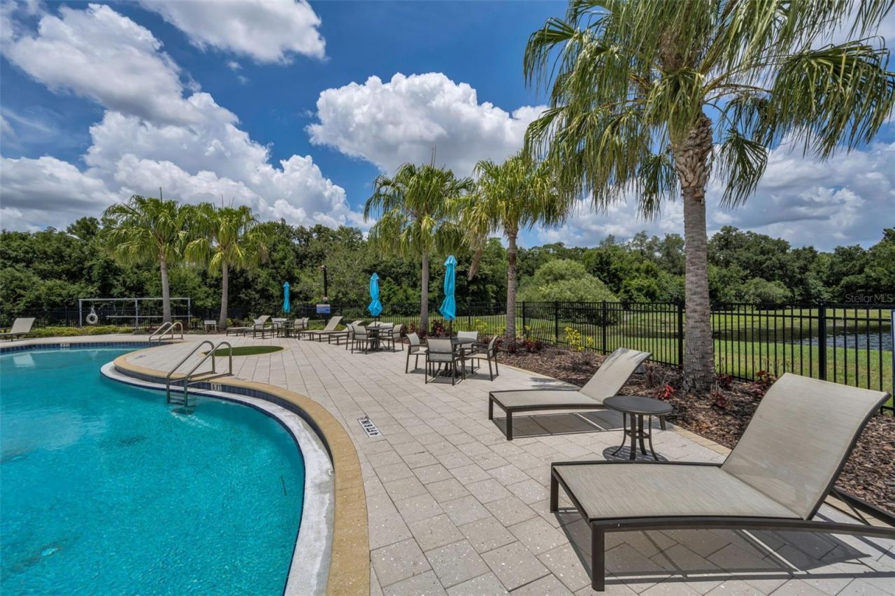 10520 Alcon Blue Drive, Riverview, FL 33578 Photo