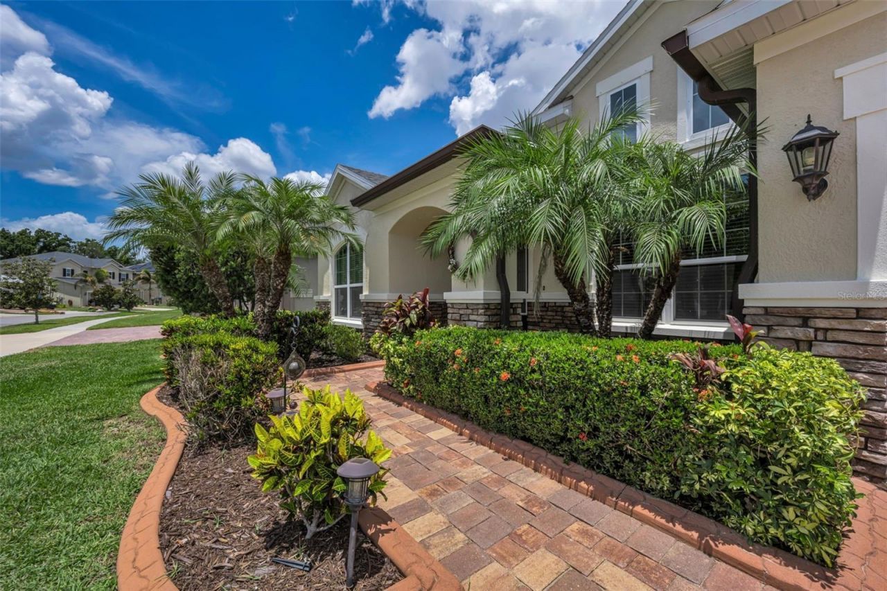 10520 Alcon Blue Drive, Riverview, FL 33578 Photo