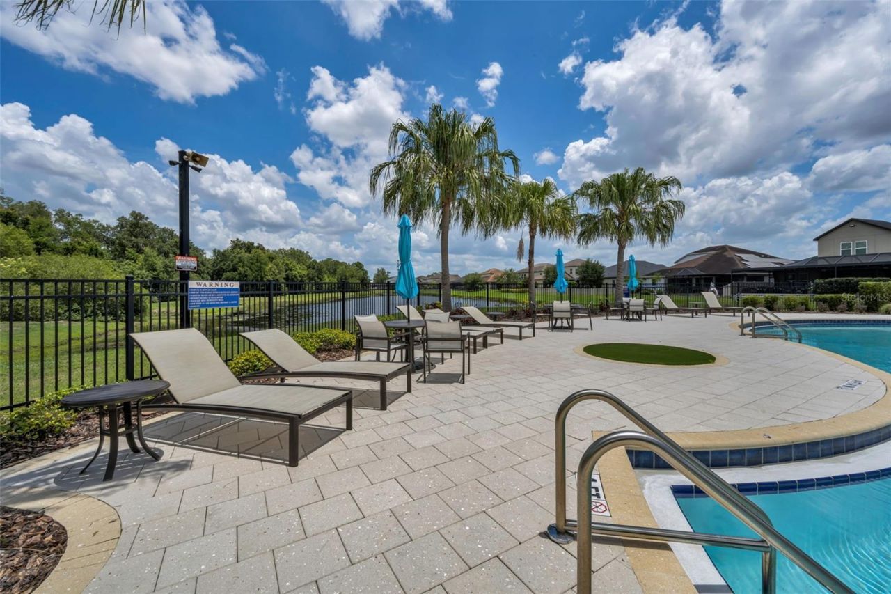 10520 Alcon Blue Drive, Riverview, FL 33578 Photo