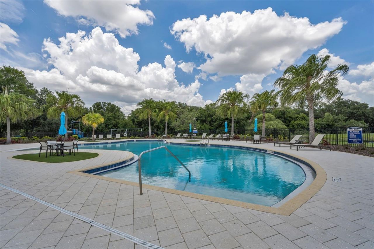 10520 Alcon Blue Drive, Riverview, FL 33578 Photo
