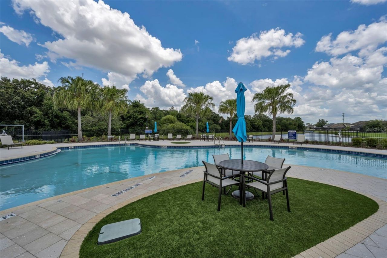 10520 Alcon Blue Drive, Riverview, FL 33578 Photo