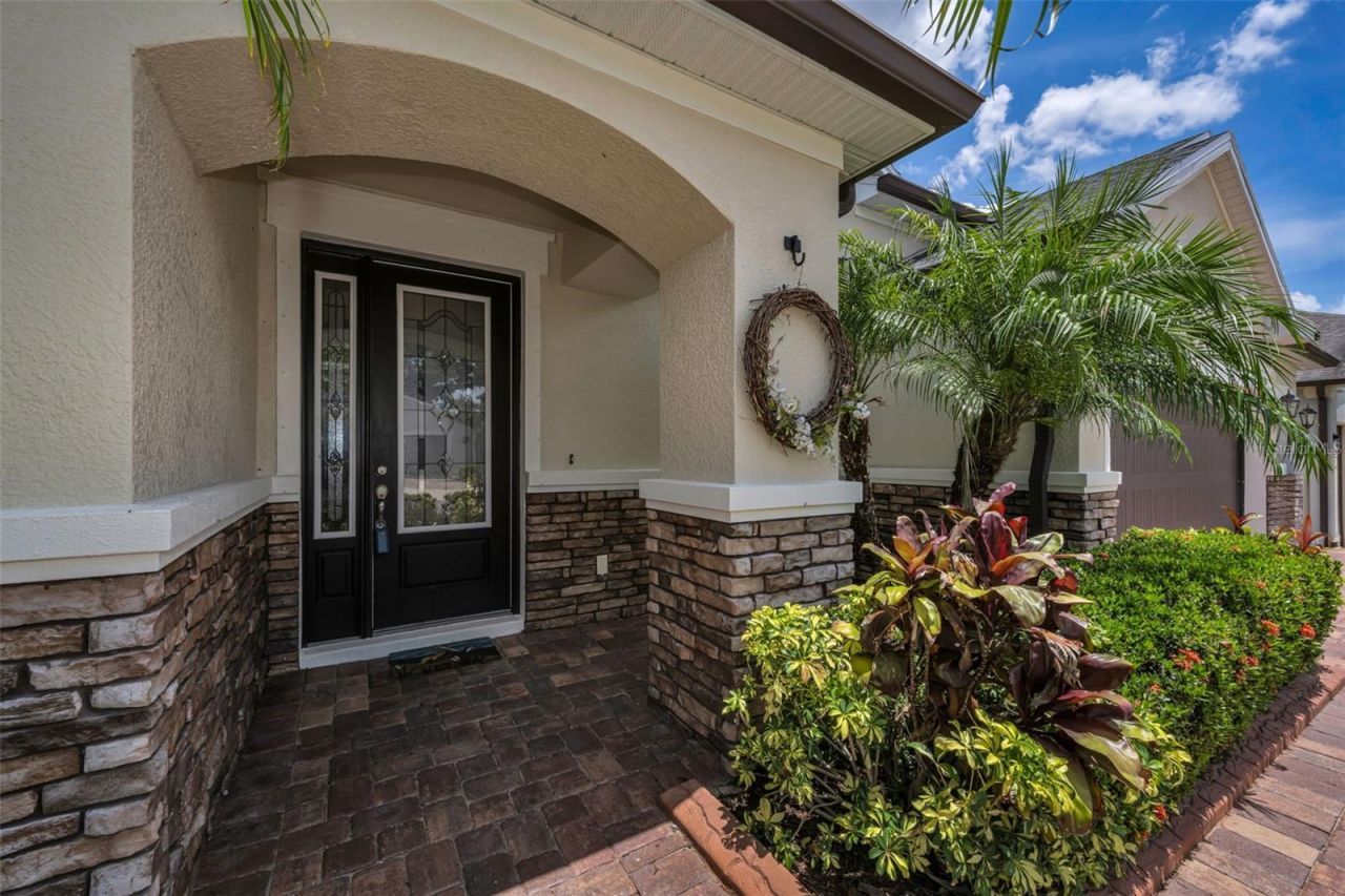 10520 Alcon Blue Drive, Riverview, FL 33578 Photo