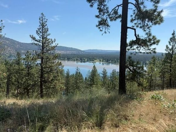 LOT 1 Long Lake Estates Way, Nine Mile Falls, WA 99026