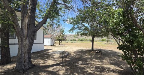 3910 Walker View Road, Topaz Ranch Estates, NV 89444 Photo