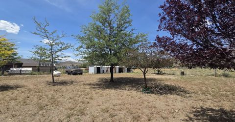 3910 Walker View Road, Topaz Ranch Estates, NV 89444 Photo