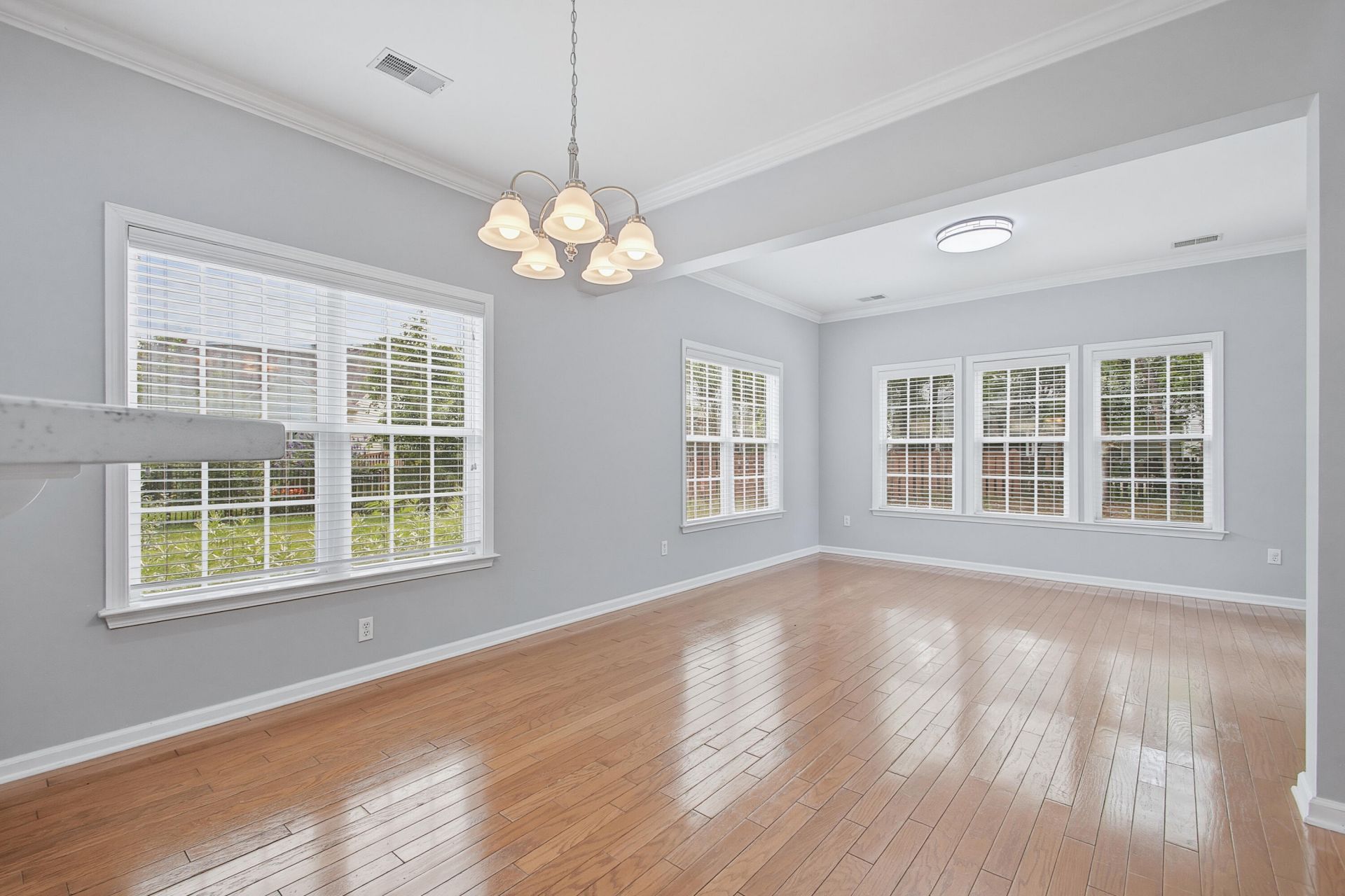 1507 Marsh Reed Court Photo 24