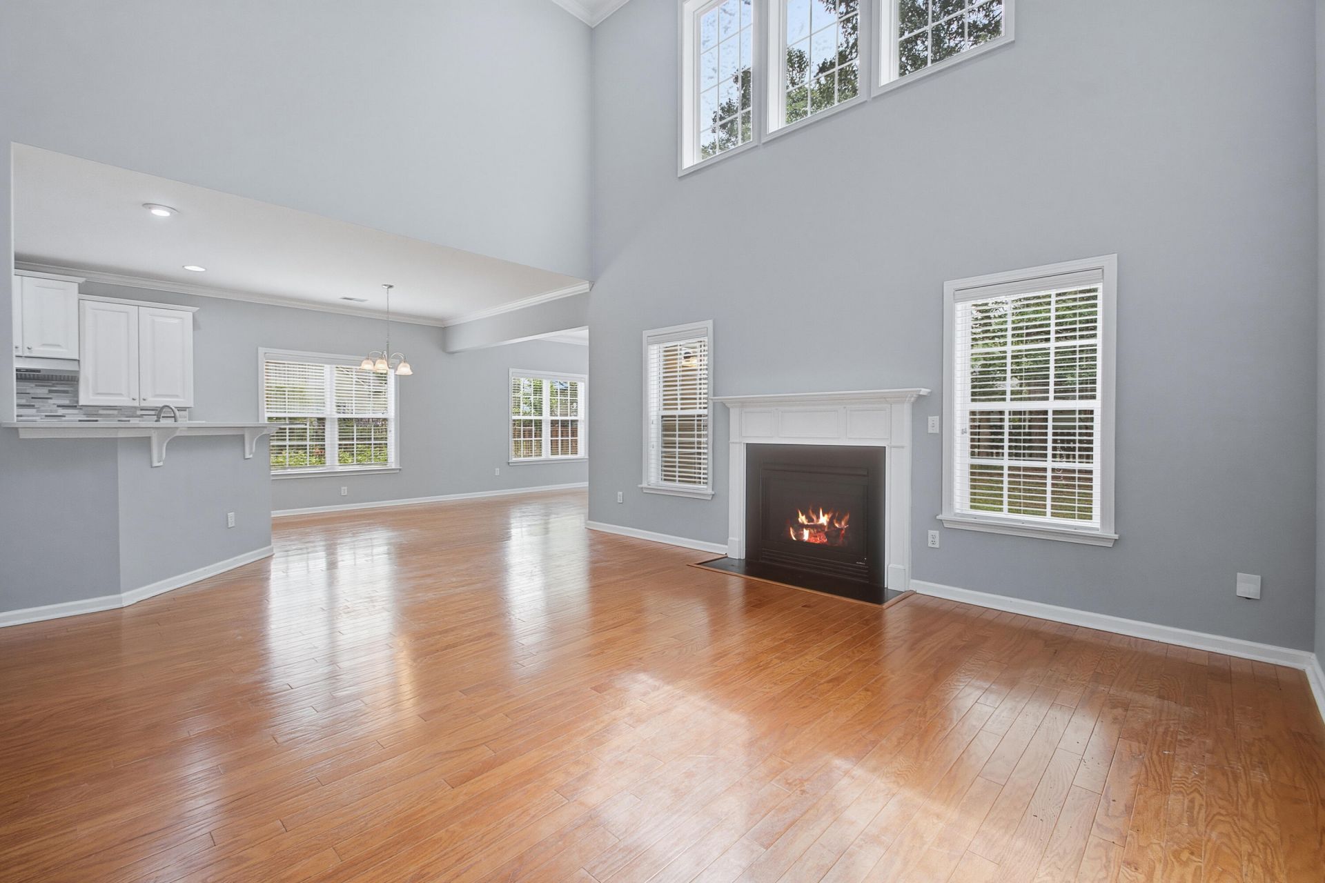 1507 Marsh Reed Court Photo 4