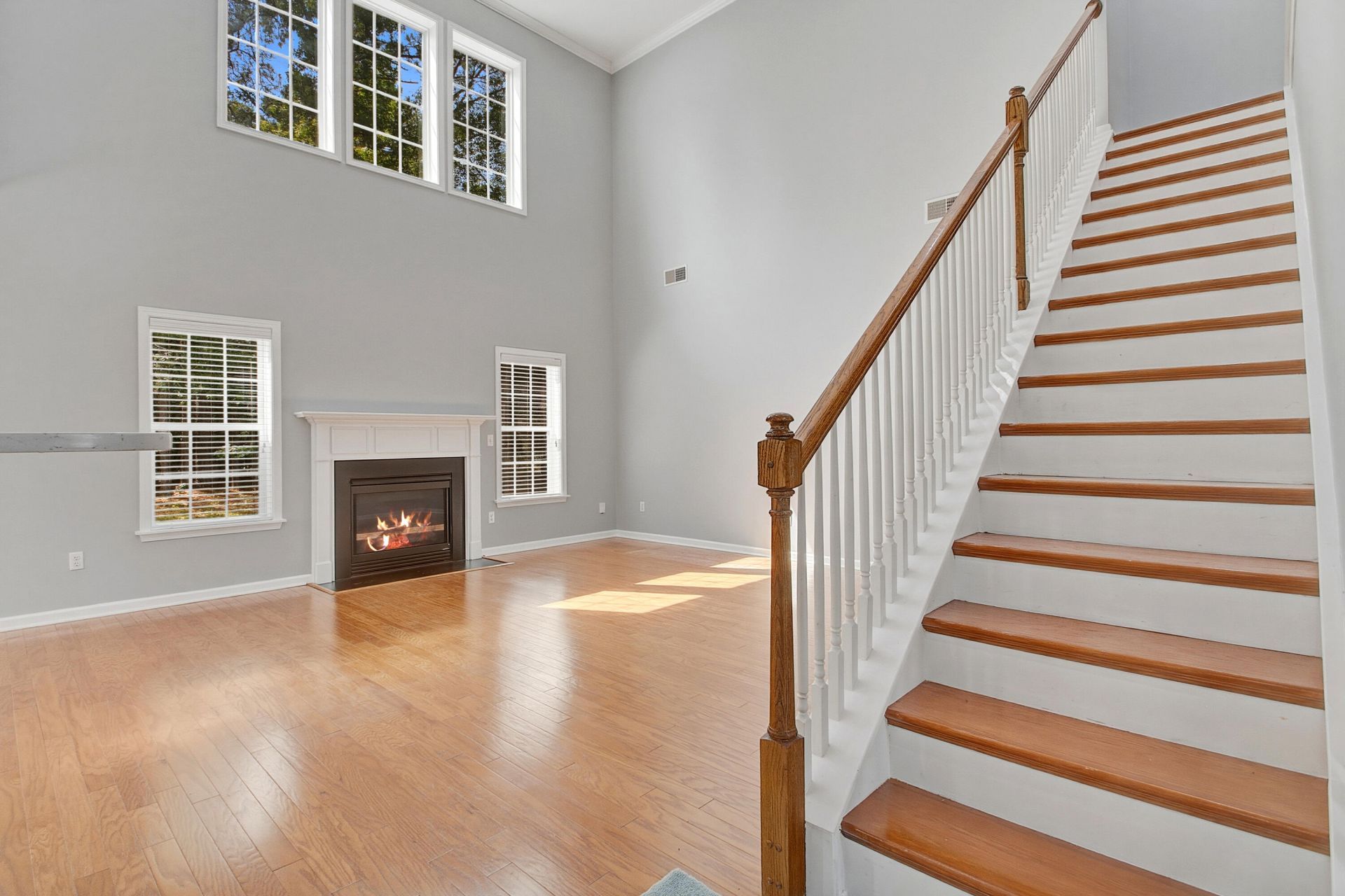1507 Marsh Reed Court Photo 46