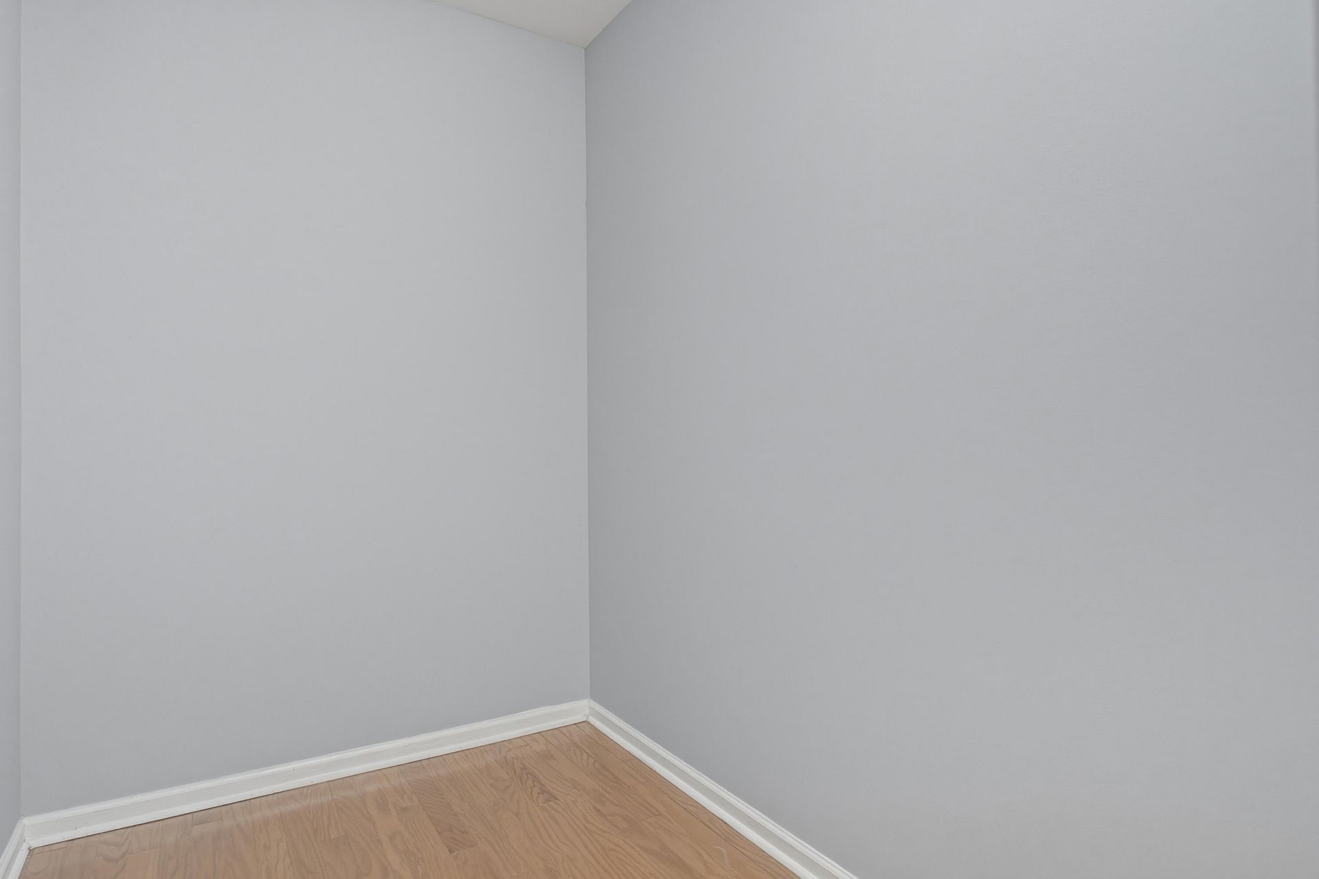 1507 Marsh Reed Court Photo 47