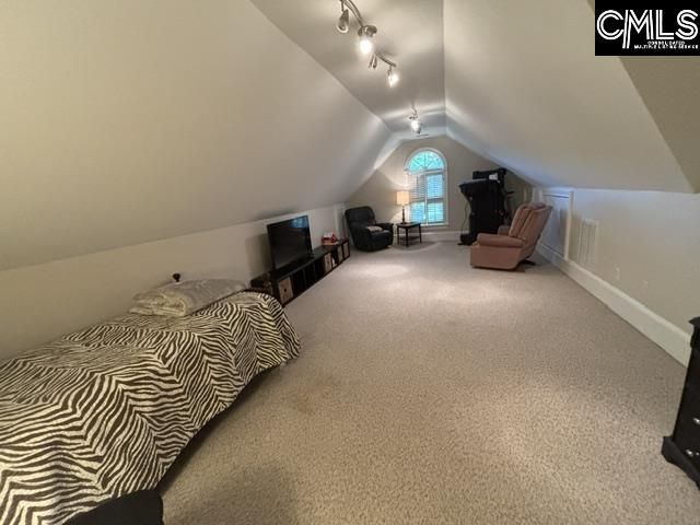 510 Carriage Lake Drive Photo 35